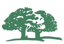 Free Antioxidant Cleanser With White Tea