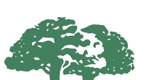 Free Antioxidant Cleanser With White Tea